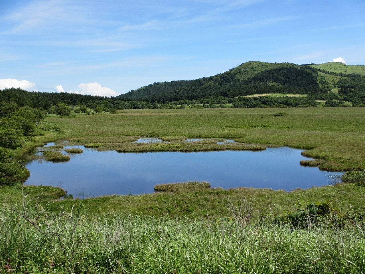 八島ヶ原湿原680812