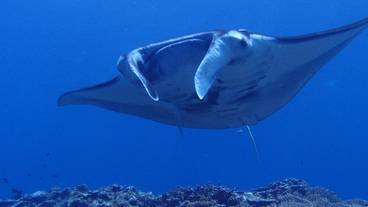 施設からの眺望 / 11