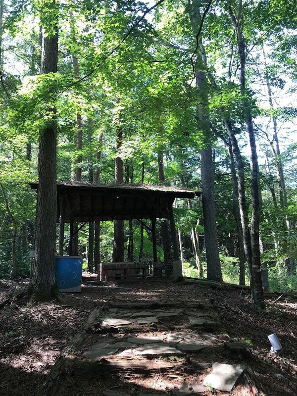 バーベキュー / ピクニック エリア