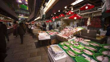 ランド ビュー / 7