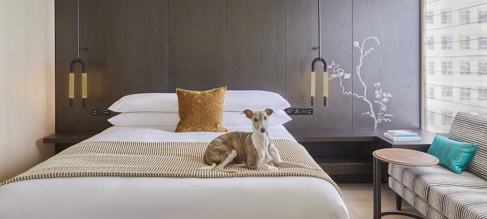 館内全てペットの同伴OK！レストランも一緒に過ごせる♪4245378