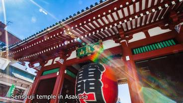 観光スポット / 8