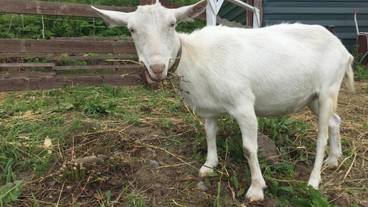 施設の敷地 / 13