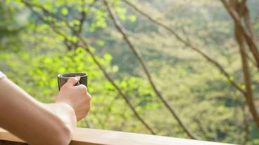 テラス / パティオ / 3