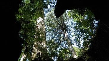 施設の敷地 / 15