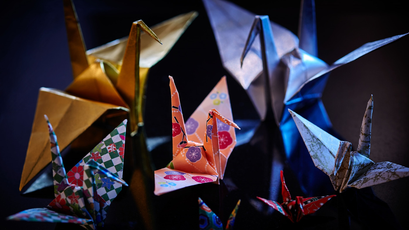 多彩なアクティビティで両親にワクワク体験をプレゼント3359928