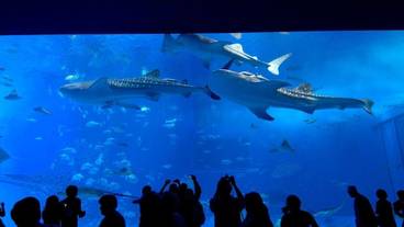 観光スポット / 6