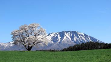 マウンテン ビュー / 8