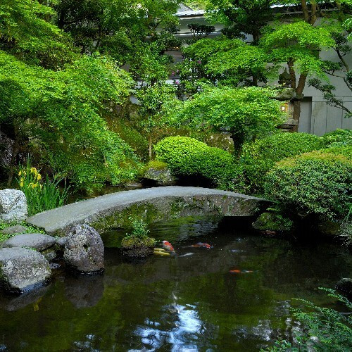 湯河原温泉 青巒荘（せいらんそう）（ユガワラオンセン　セイランソウ） / 4