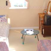 熱川温泉 地中海ペンション クノッソス(静岡県 ペンション) / 5