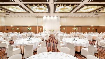 バンケット ホール / 16