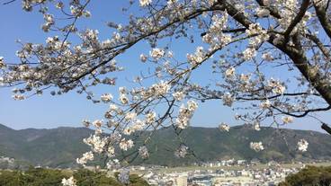 シティ ビュー / 36