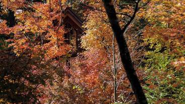 建物のデザイン / 29