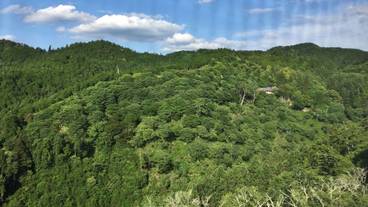 マウンテン ビュー / 26