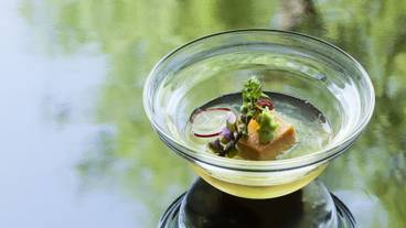 食事・飲み物 / 31