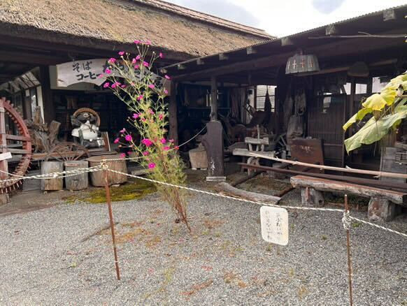 aoyuuzさんの写真 / 7