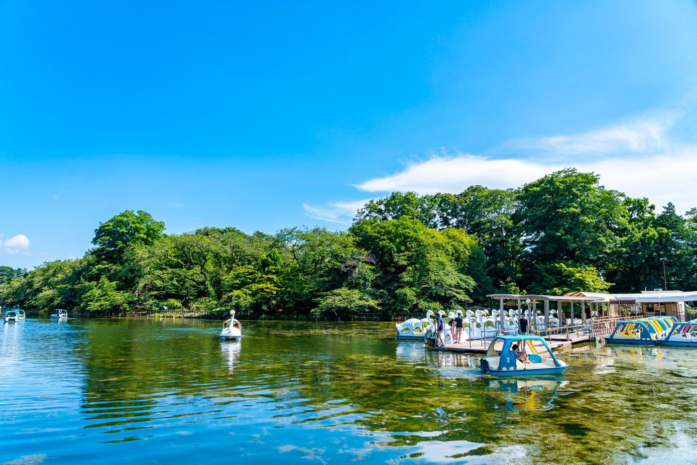 【東京都】吉祥寺　井の頭公園