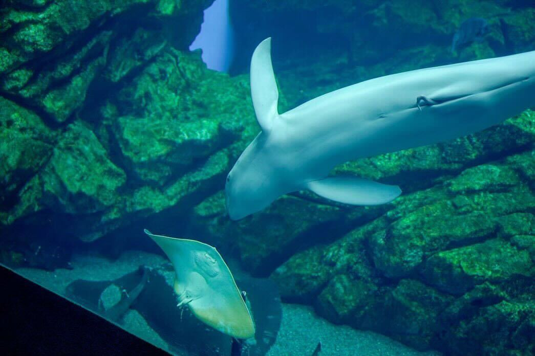 panda_rihoさんの写真 / 4