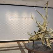 京急EXホテル高輪（旧：京急EXイン高輪）（東京都 ビジネスホテル） / 3