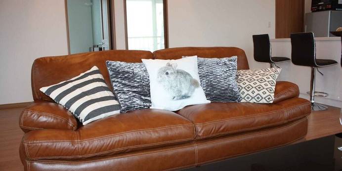 Diamond Dust Furano(北海道 別荘・ヴィラ・コンドミニアム) / 1