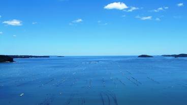 ビーチ / オーシャン ビュー / 28