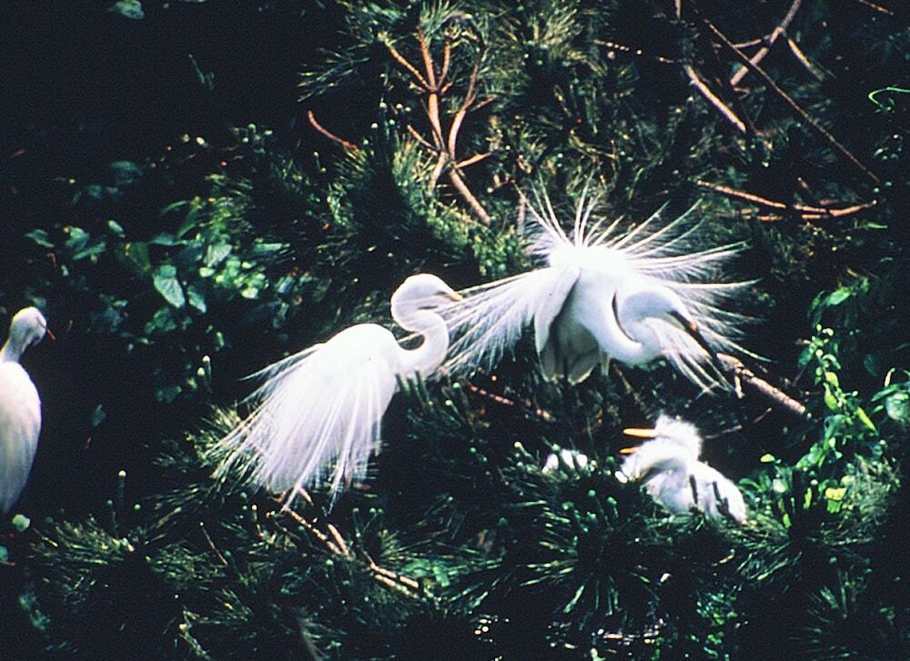 施設からの眺望