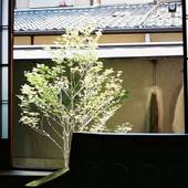 五条ゲストハウス 別館（京都府 ゲストハウス・ホステル・ドミトリー） / 4