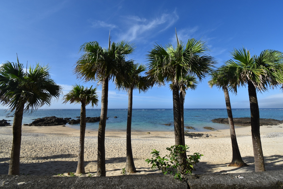 ビーチが目の前！