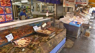 観光スポット / 7