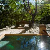 温泉山荘 だいこんの花（宮城県 旅館） / 2