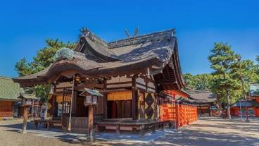 子供用の遊び場 - 屋外 / 13