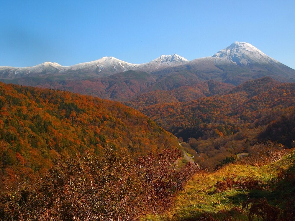 マウンテン ビュー