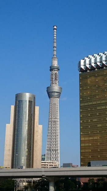 7. 東京スカイツリー（押上）1558871