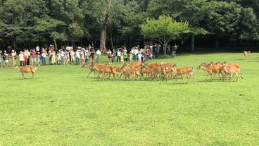 観光スポット / 6