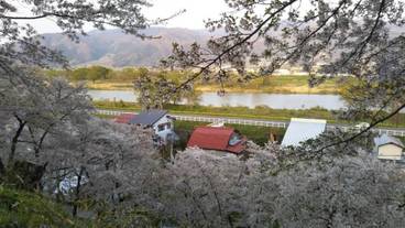 施設の敷地 / 14