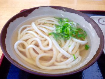 「池上製麺所」 料理 46330372 かけうどん(*´д`*)195円