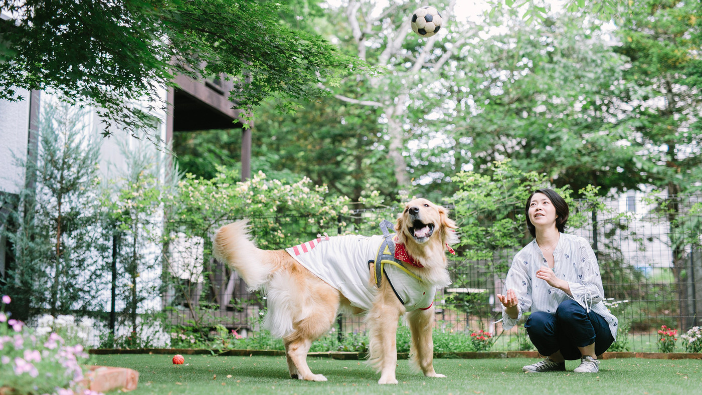 7.リフレッシュエッセンシャルリゾート3346003