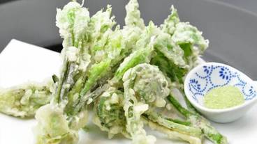 夕食_山菜のてんぷら / 1