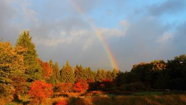 マウンテン ビュー / 20