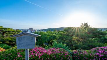 兼六園の眺望台 / 6