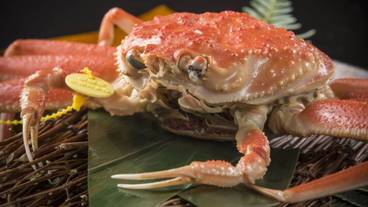 食事・飲み物 / 3