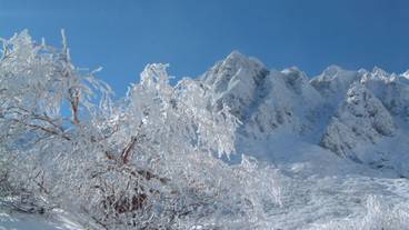 観光スポット / 20