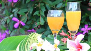 食事・飲み物 / 4