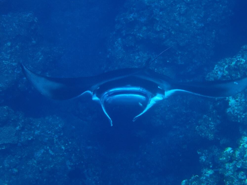 フィットネス設備