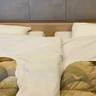 mato_kumaさんの写真