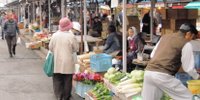盛岡名物・神子田朝市を覗いてみよう！おすすめ朝市グルメをご紹介