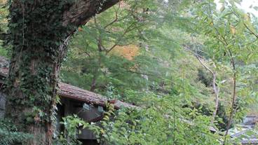 施設の敷地 / 26