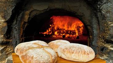 施設内の設備 / 1