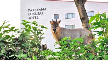 施設の敷地 / 28