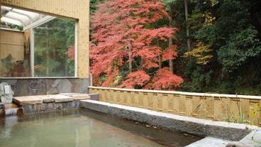 トリートメント ルーム / 16